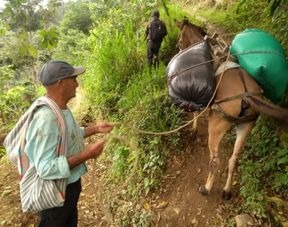 Cedros%20Café