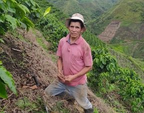 Cedros%20Café